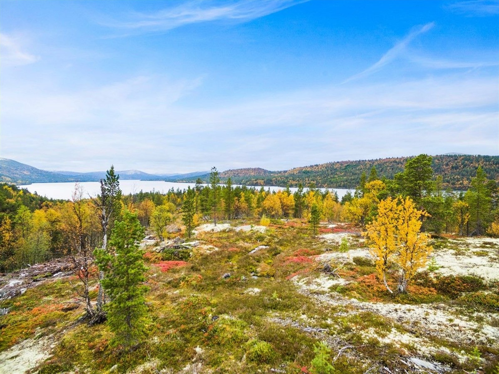 Bilder er tatt omtrentlig fra Tun1 og tomt 46.jpg Galleribilde