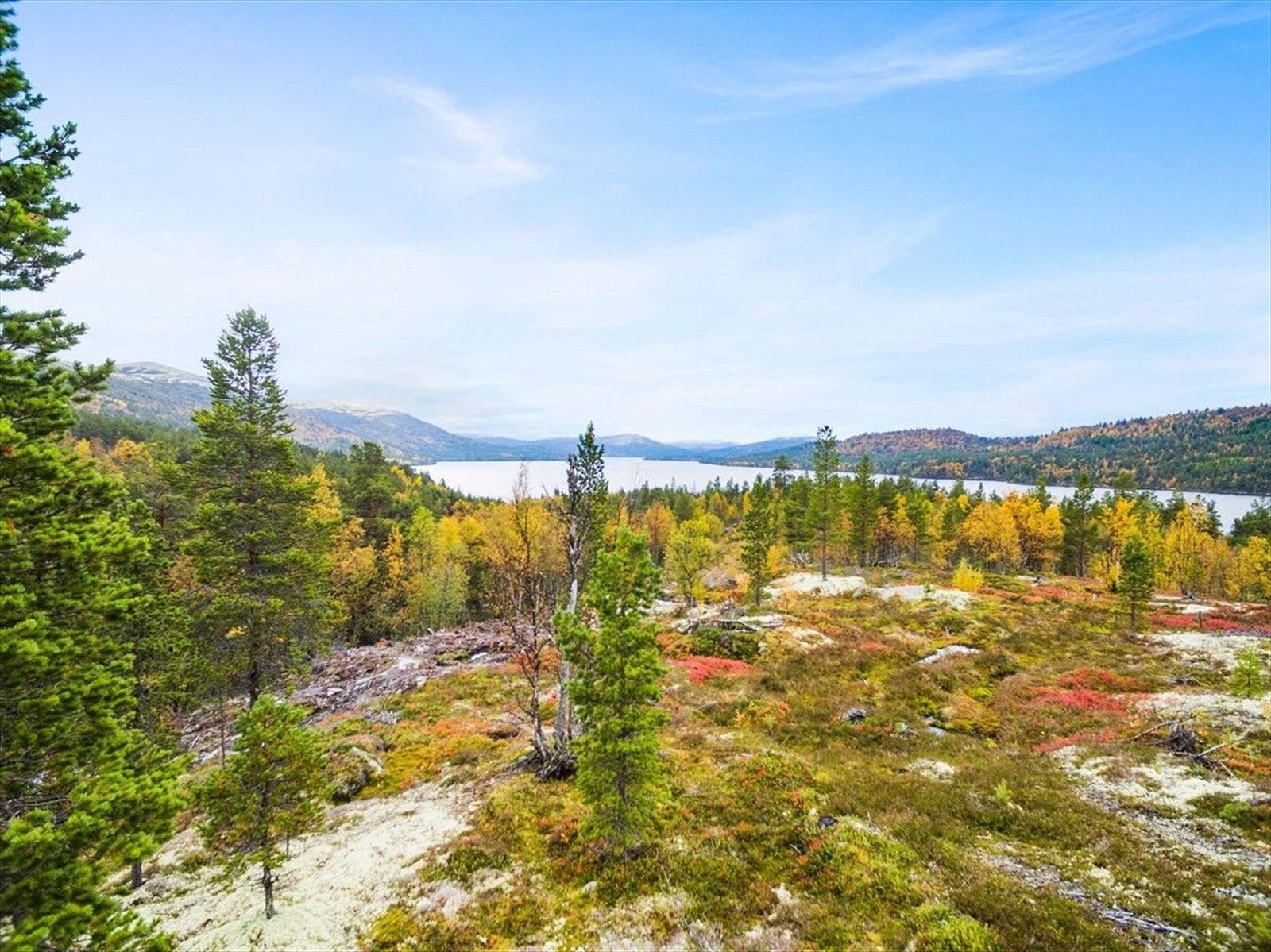 Bilder tatt omtrentlig fra Tun1 og tomt 46.jpg Galleribilde