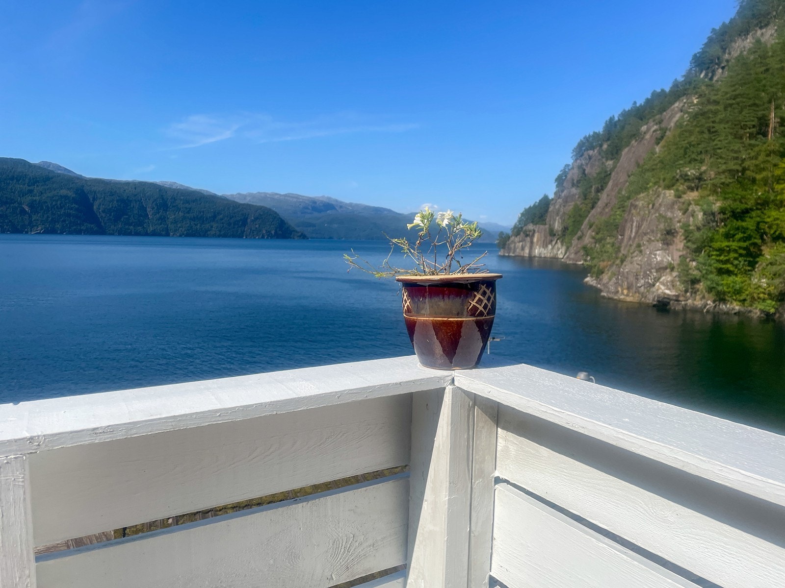 Selgers bilder fra sommer Galleribilde