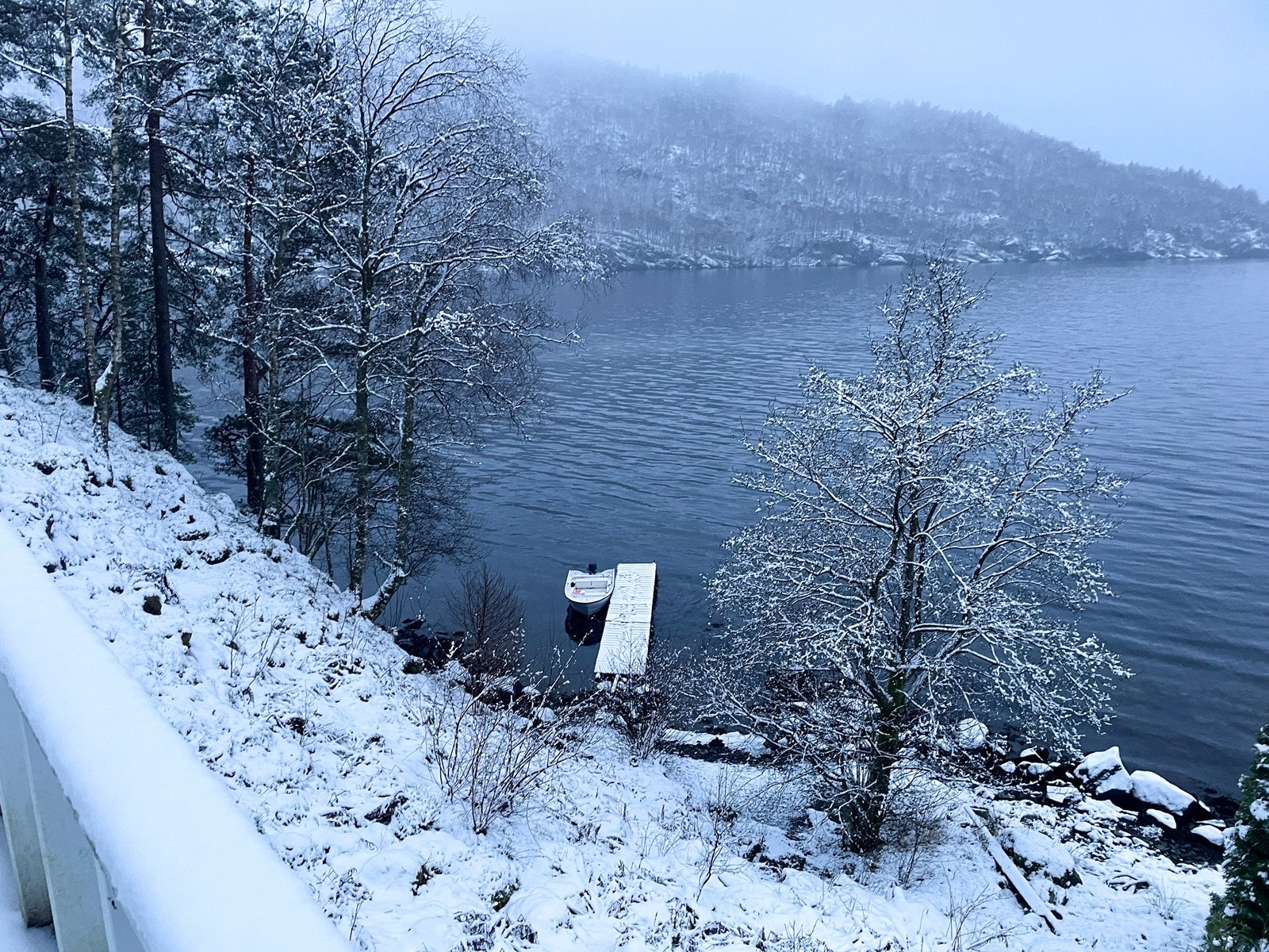 Bilder fra vinter Galleribilde