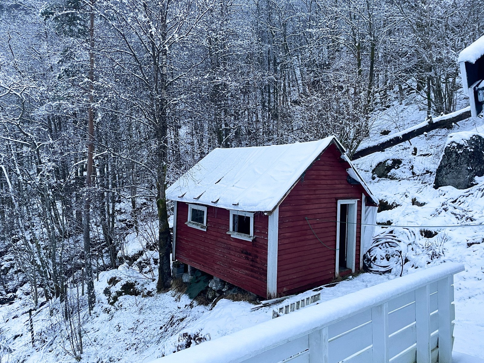 Bilder fra vinter Galleribilde