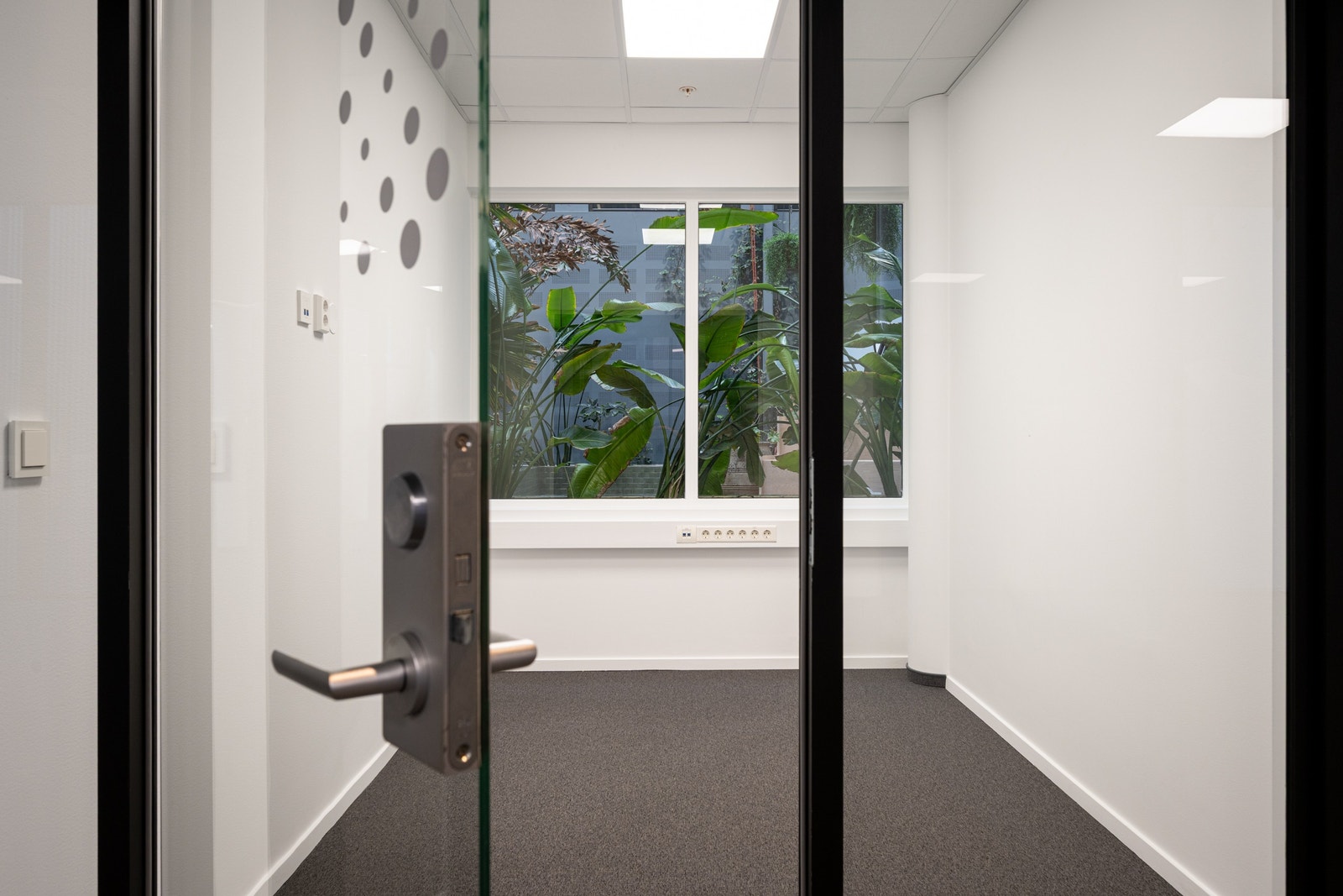 De ledige arealene Galleribilde