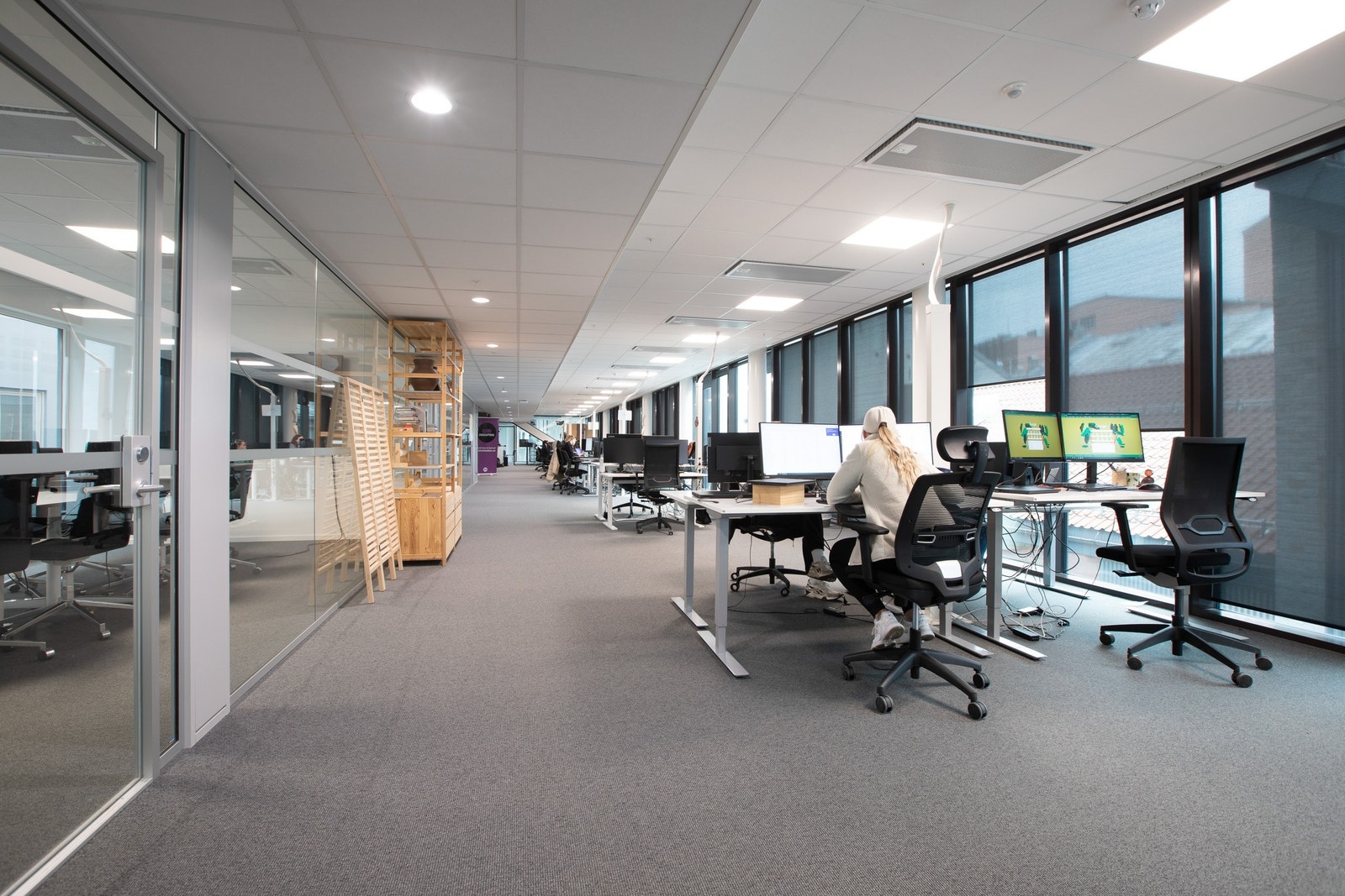 De ledige arealene Galleribilde