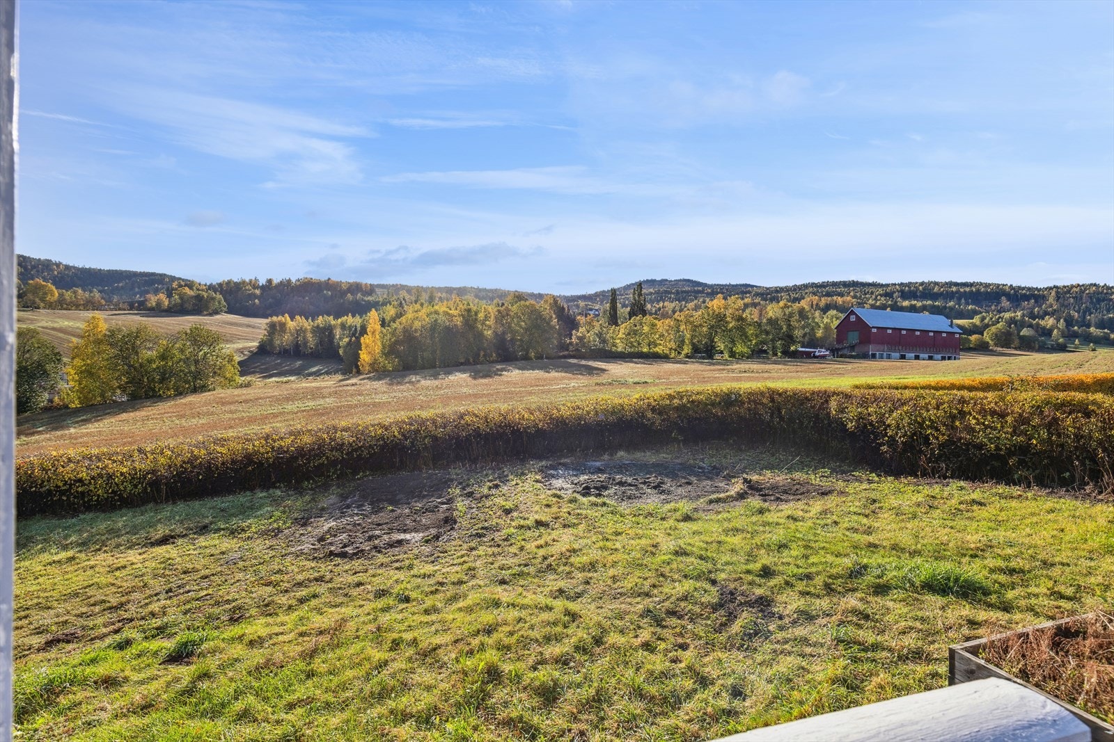 Utsikt ut over nærområdet og hagen, som er opparbeidet med plen og beplantning. Galleribilde