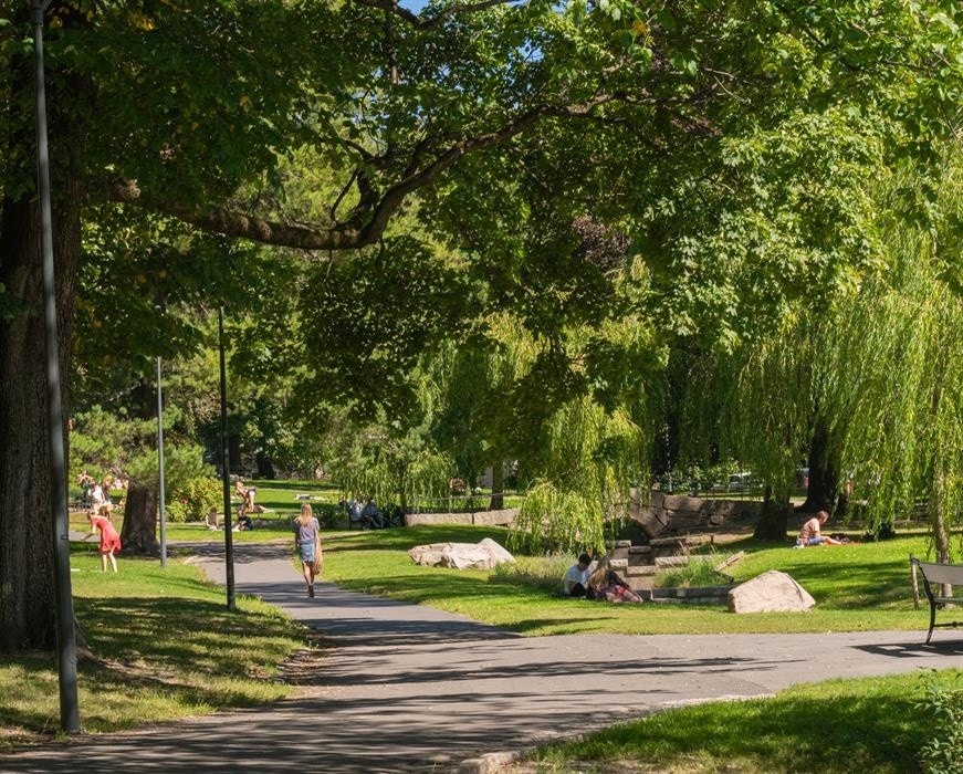 I nærhet til frodig natur Galleribilde