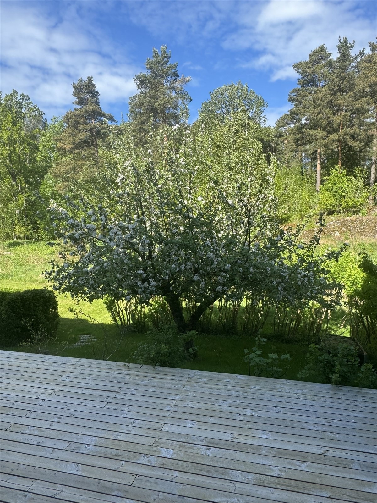 Privat foto. Galleribilde