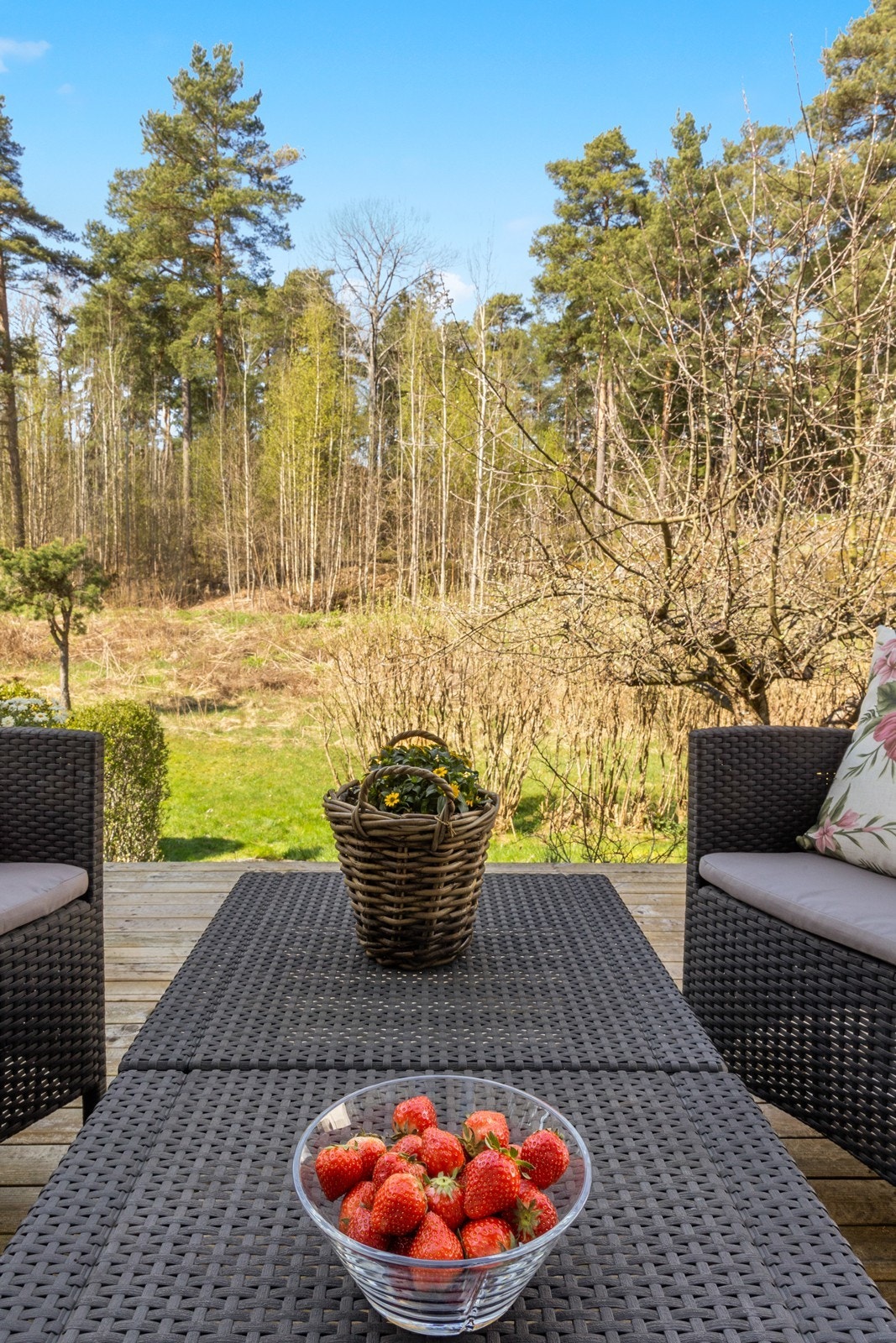 Her finner du solrike uteplasser både mot øst og vest, med nye terrasser fra 2022 Galleribilde