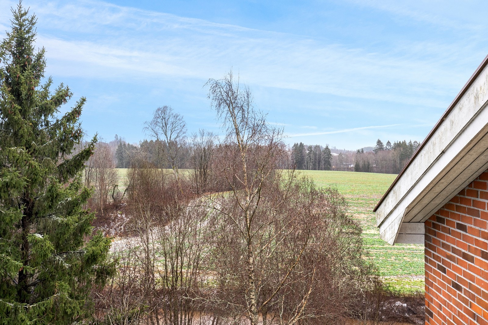 Utsikt mot grøntområde fra boligen gir et naturskjønt inntrykk. Galleribilde