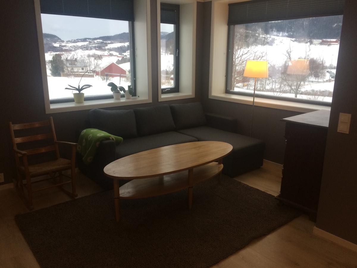 Stue med sovesofa. Galleribilde