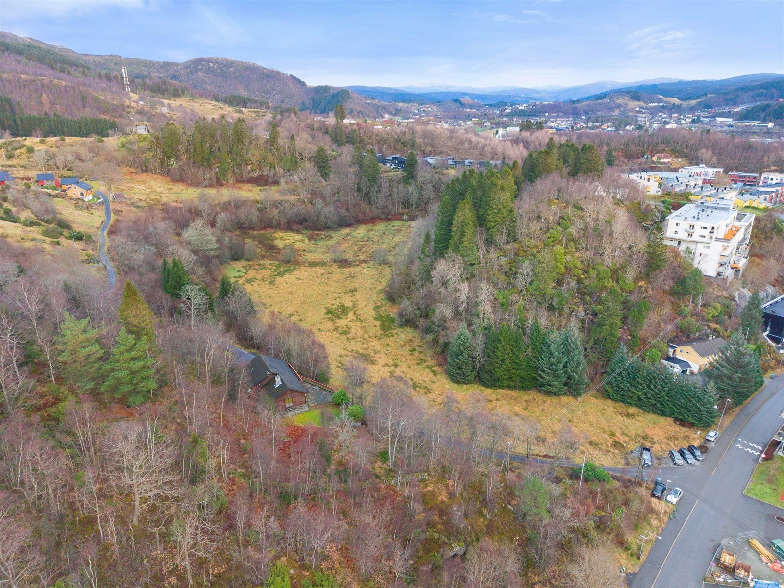 | Krogsveen Galleribilde