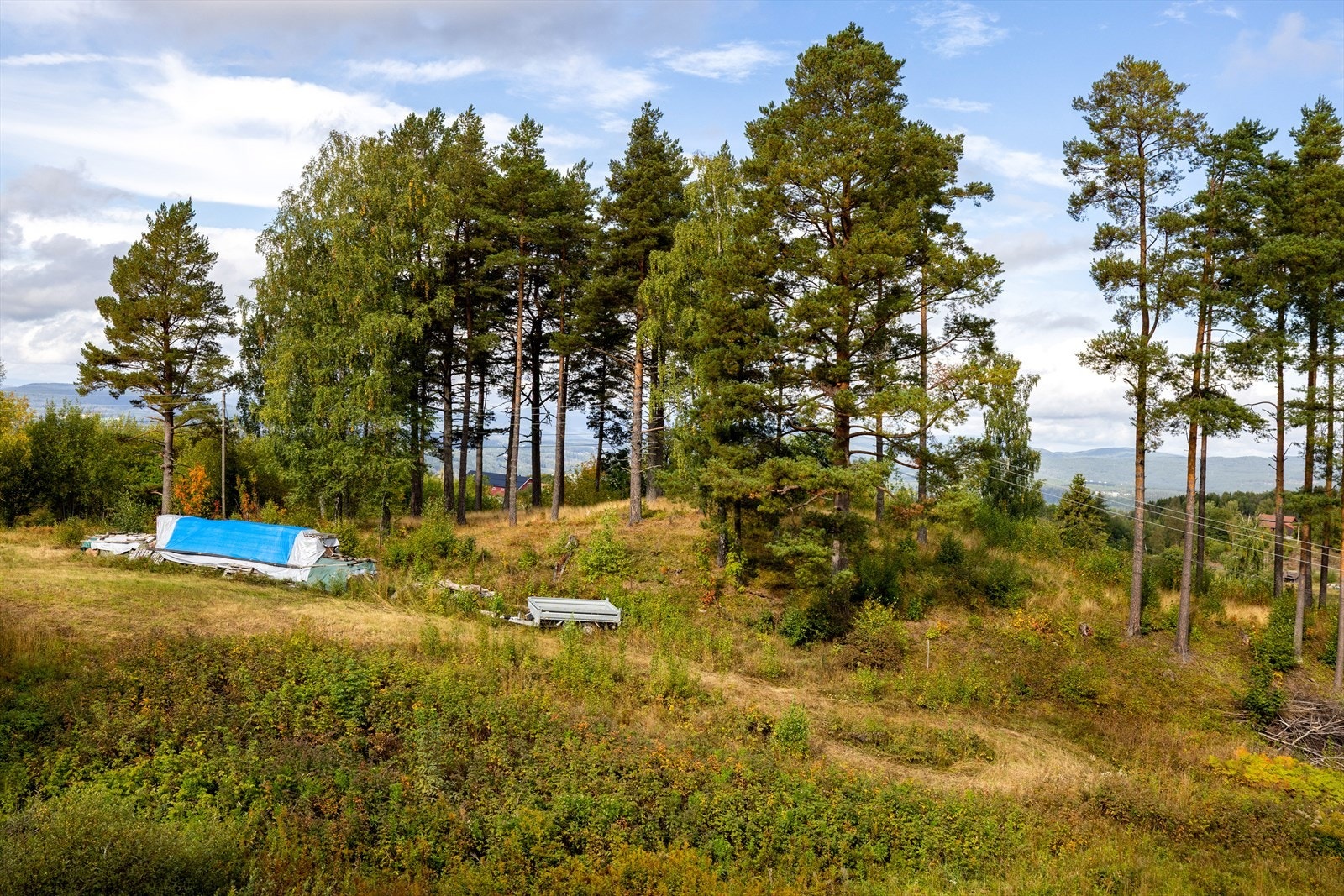 Beliggenheten i Haugsbygd byr på umiddelbar nærhet til skog og mark. Galleribilde
