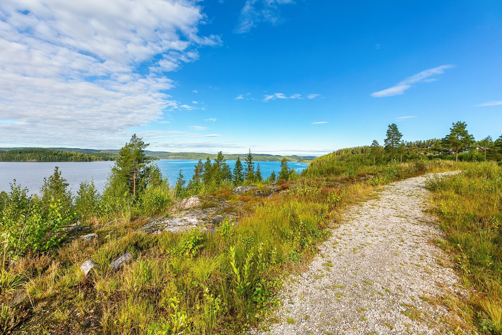Idylliske turveier langs Setten Galleribilde
