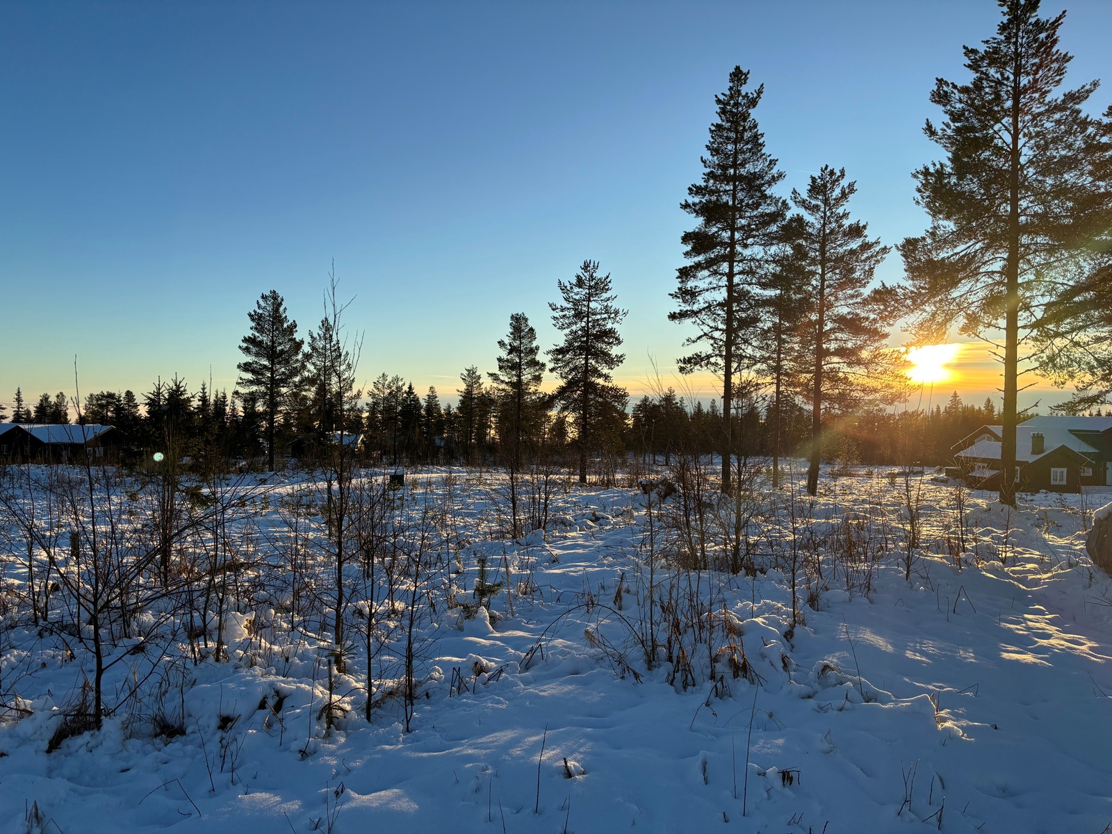 Bilde fra hyttefeltet 09.12.25 Galleribilde