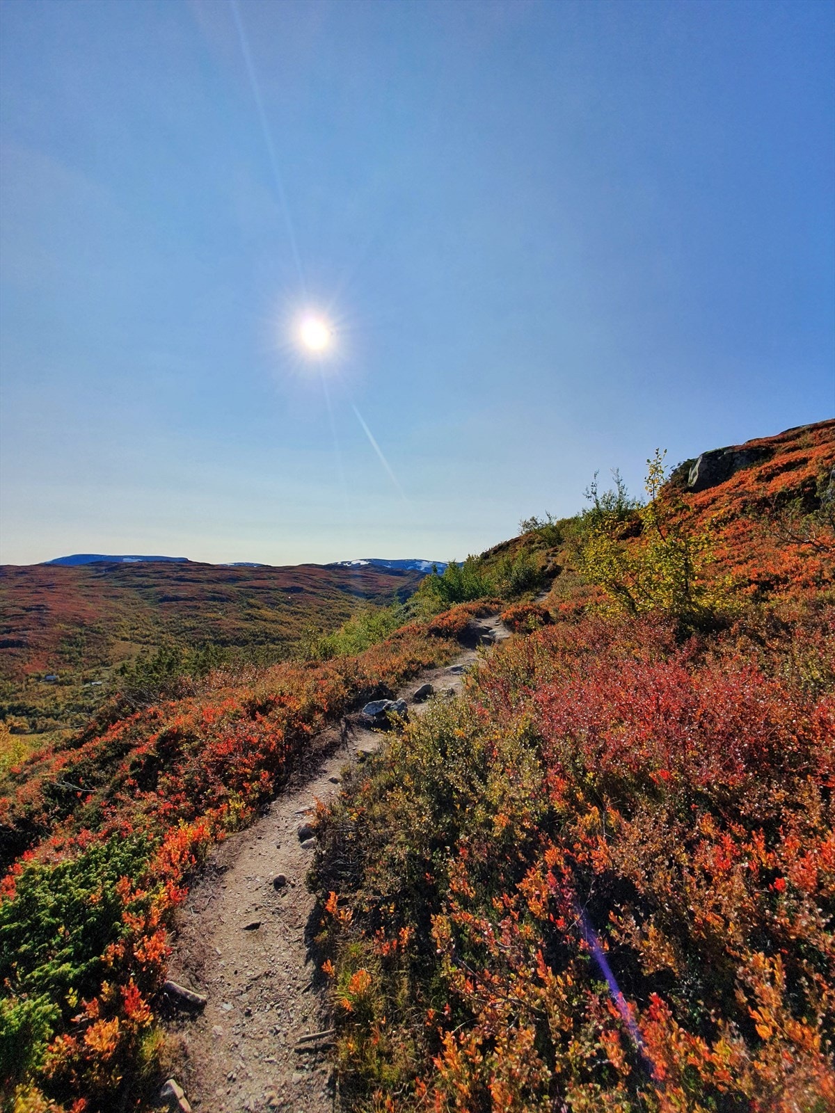 Stien opp til Einsetnuten Galleribilde