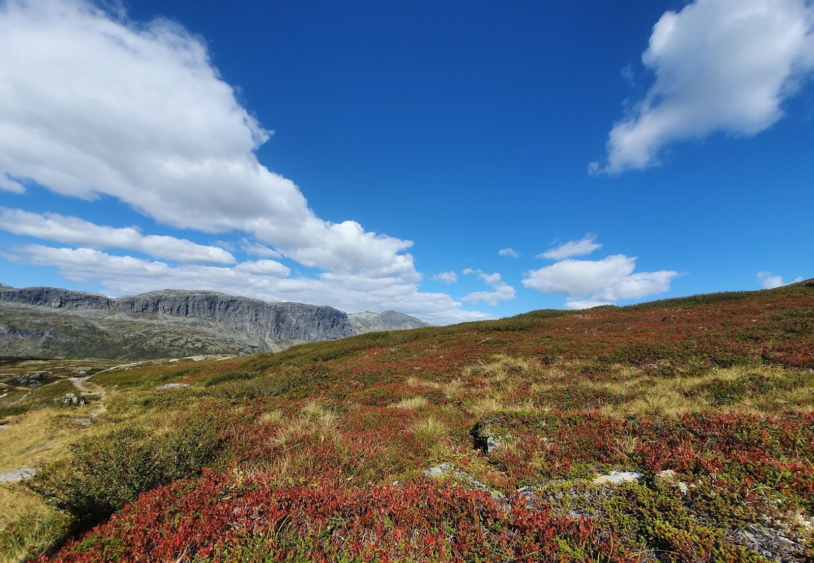 Utsikt fra Skarvåga mot Urdvassberget Galleribilde