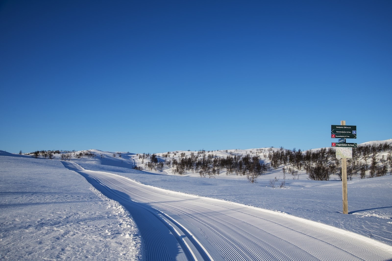 Skiløype innover fra Sisseldalen Galleribilde