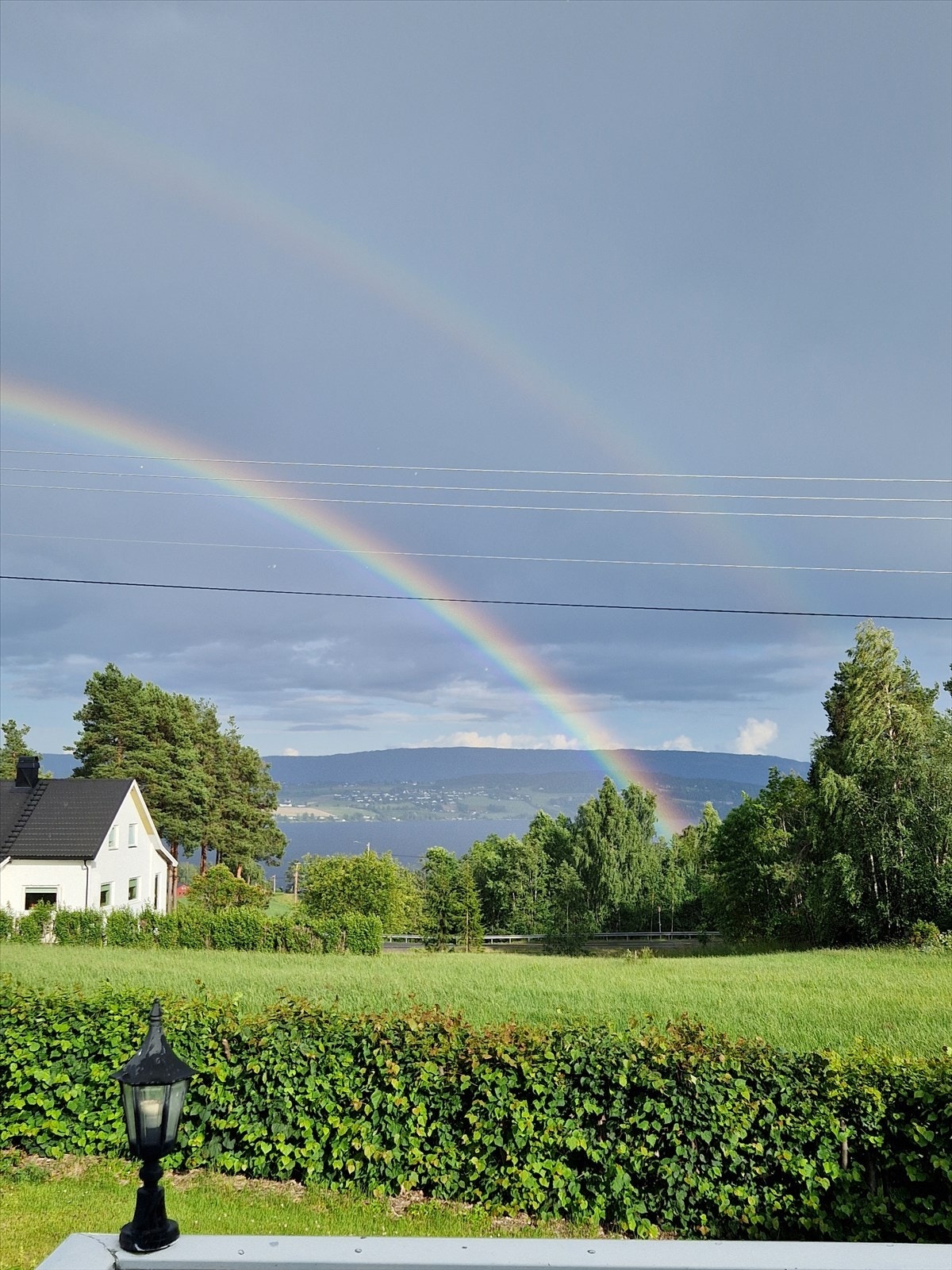 Selgers private bilde Galleribilde