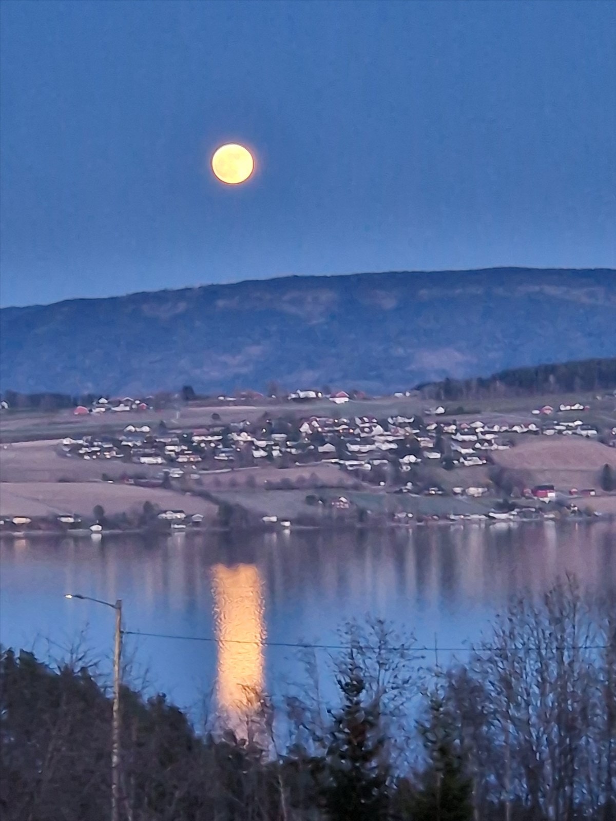 Selgers private bilde Galleribilde