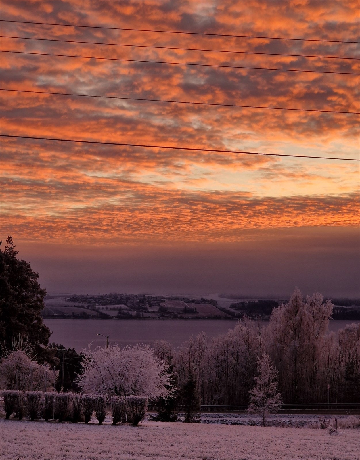 Selgers private bilde Galleribilde