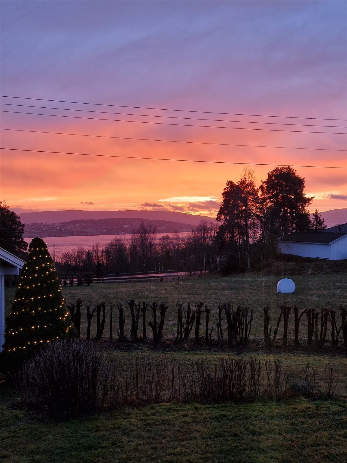 Selgers private bilde Galleribilde