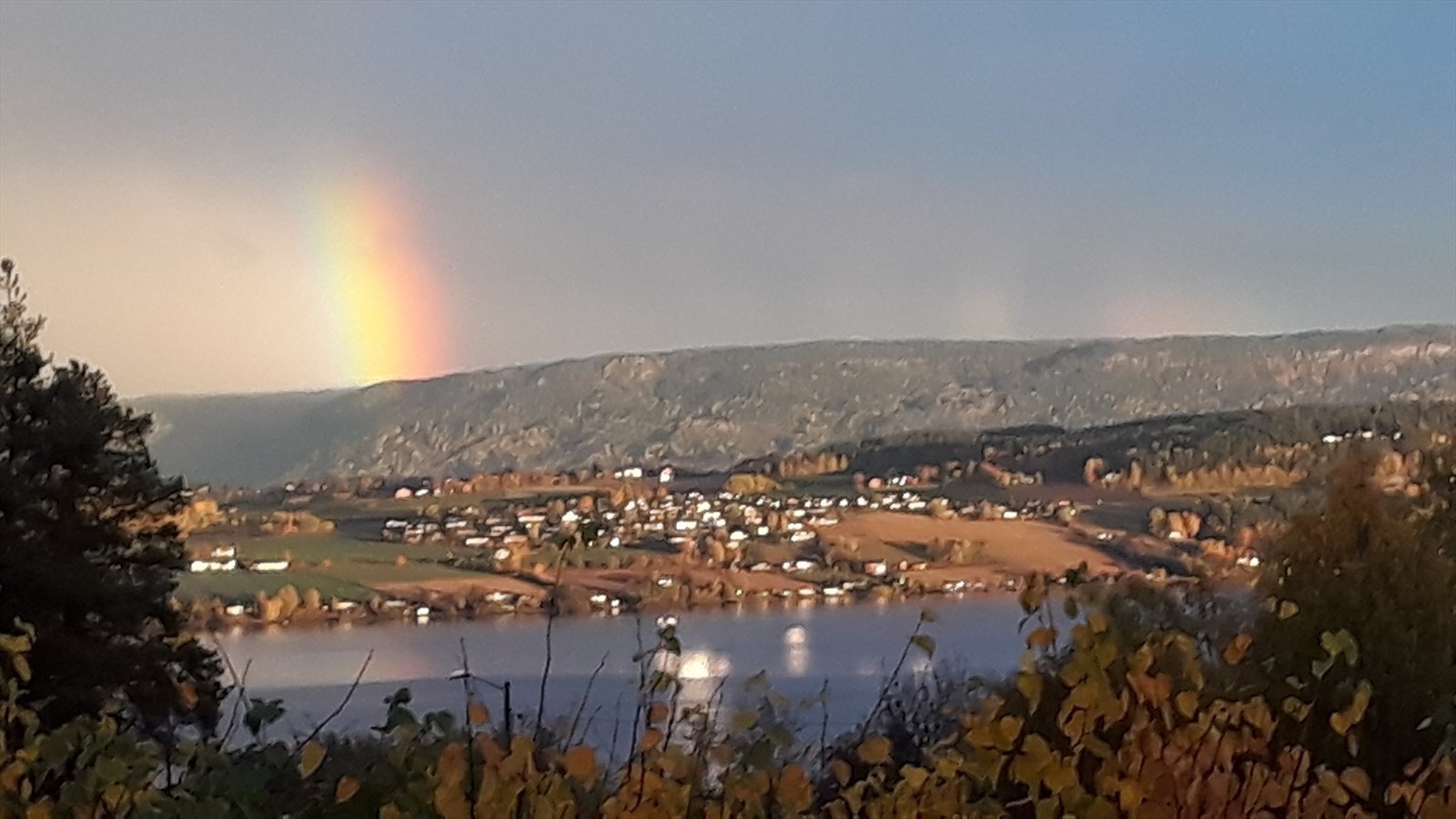 Selgers private bilde Galleribilde