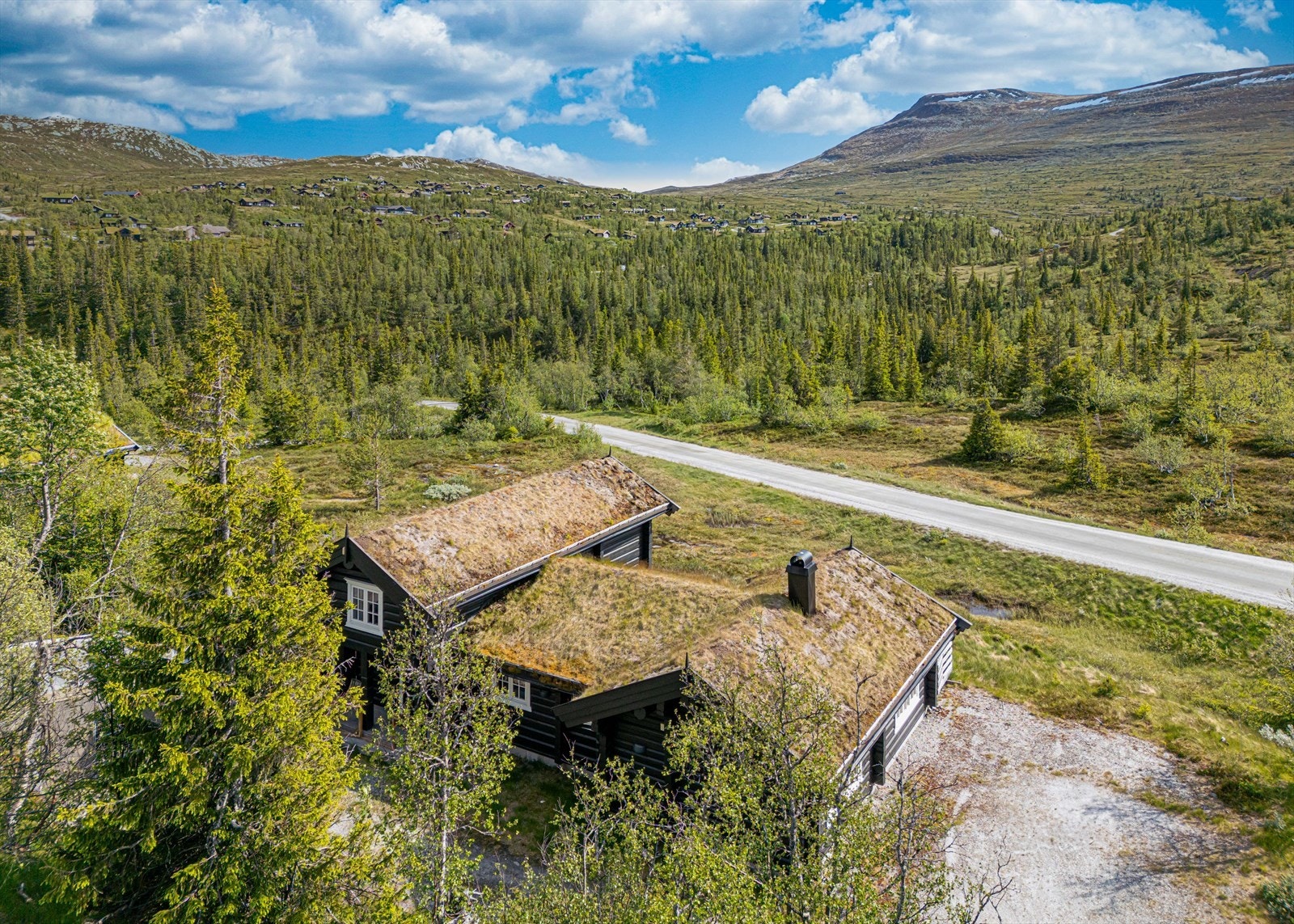 Hytta har en uforstyrret utsikt til Høgevardetoppen Galleribilde