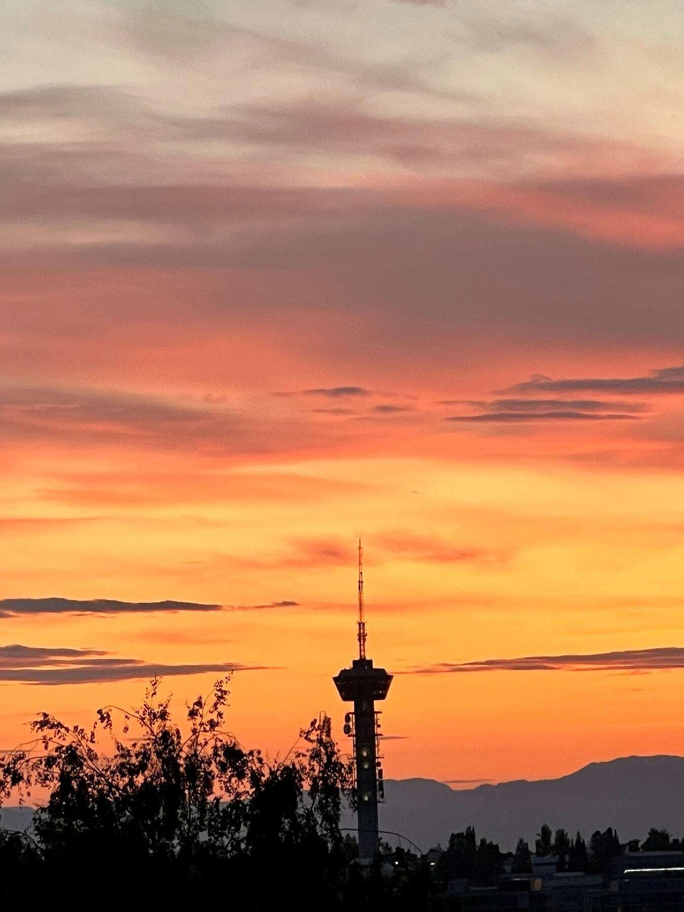 Selgers bilde. Galleribilde