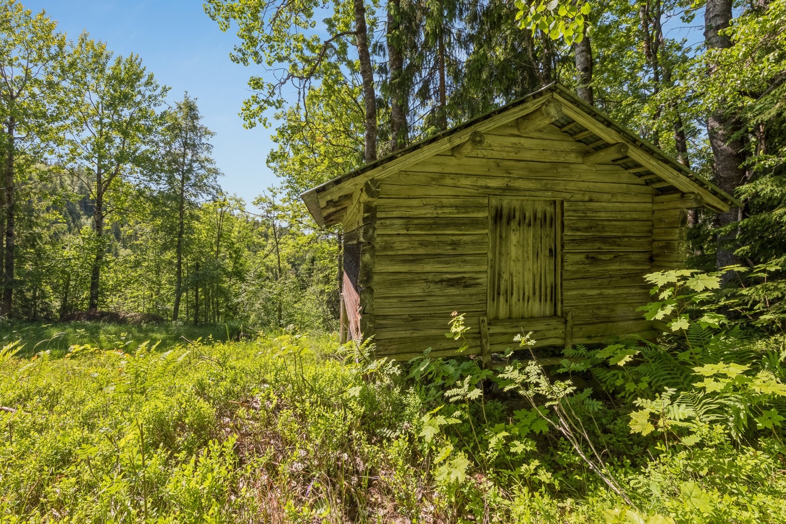 Vedskjulet på Rue Galleribilde