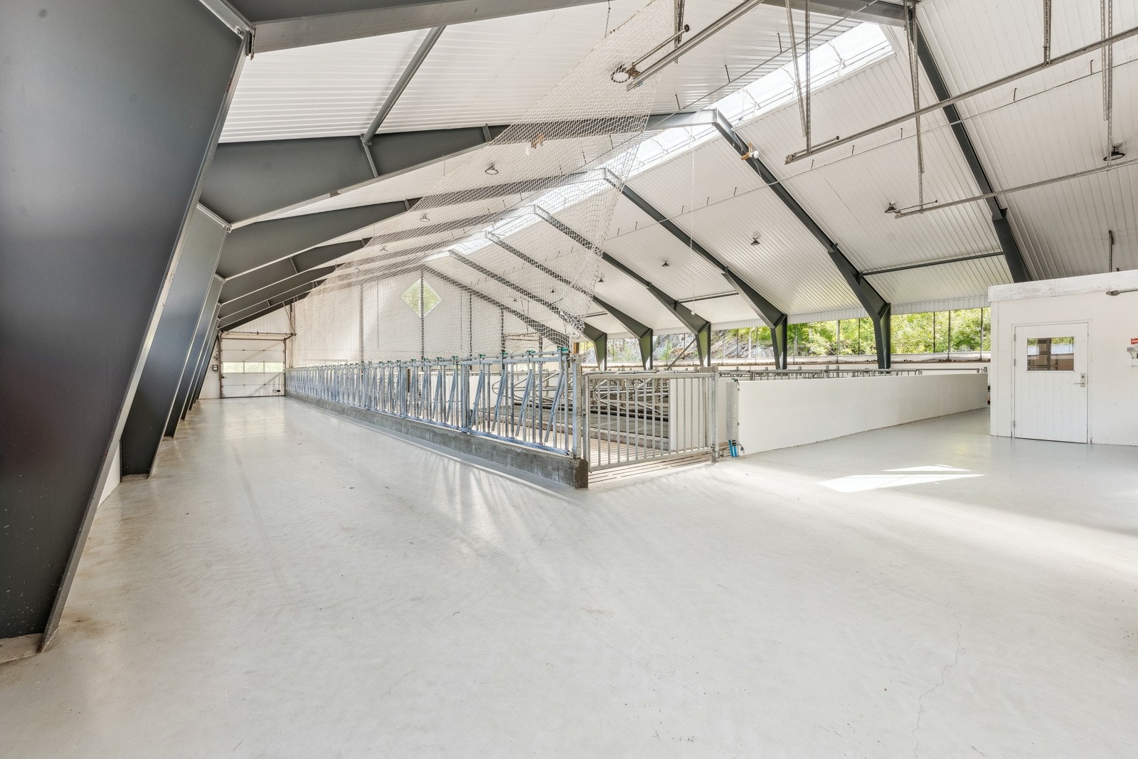 Fjøset fremstår næmest som nytt hvor produksjonen raskt kan startes opp. Det er montert belysning i himling samt et moderne ventilasjonsanlegg med luftespalte i gavl Galleribilde