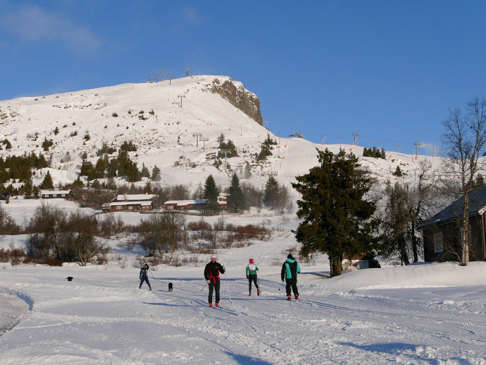 Leiligheten ligger helt inntil langrennsløypa og har kort gangavstand til både sentrum, alpinbakke, golfbaner m.m. Galleribilde