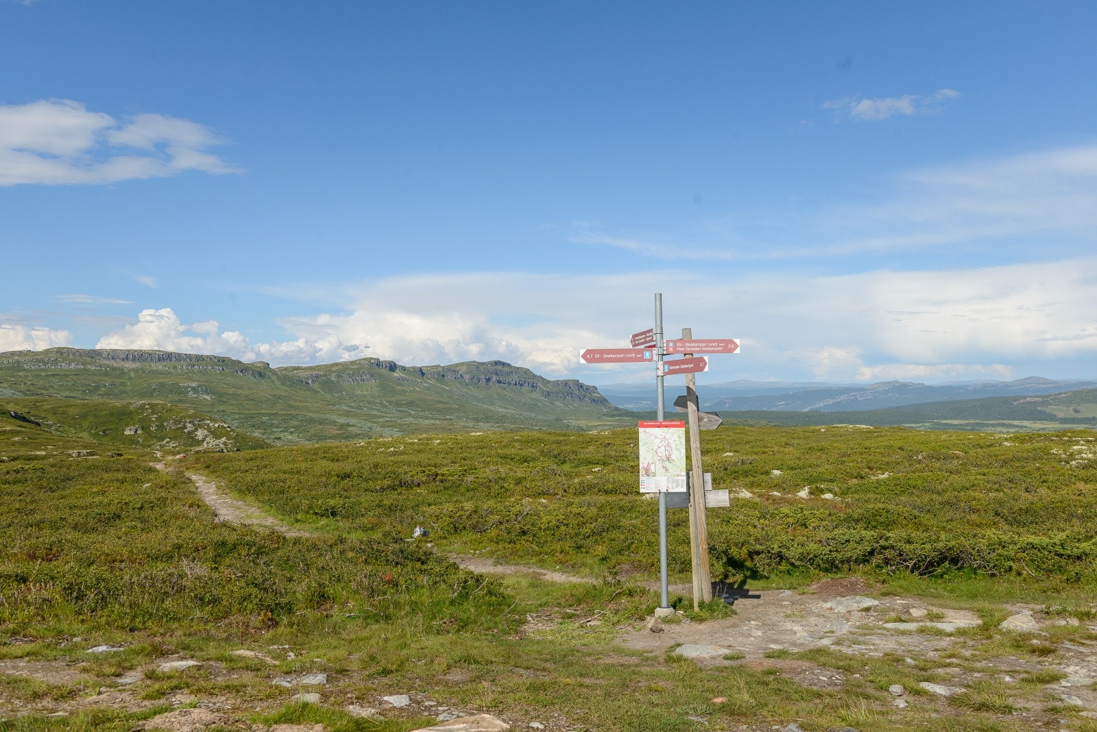 Sommerstid er det utallige turmuligheter rett utenfor utgangsdøren. Galleribilde