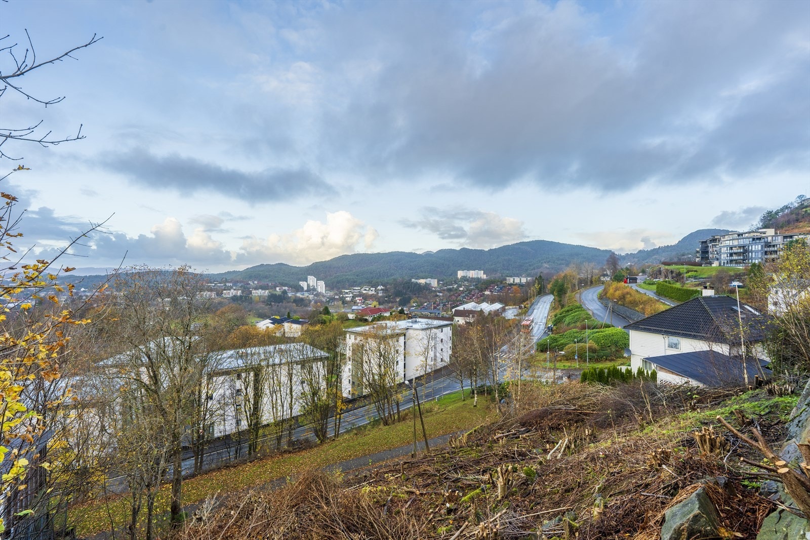 Utsikt fra tomten. Galleribilde