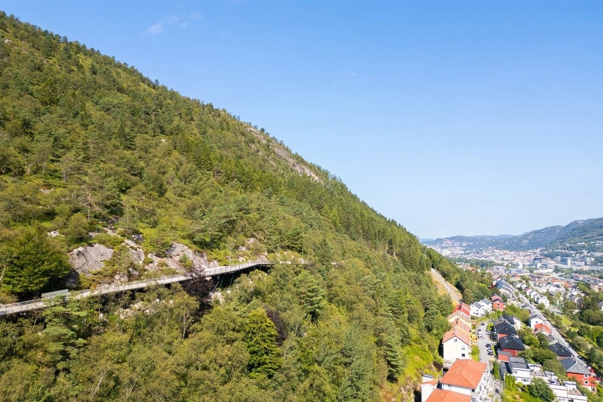 Løvstien Galleribilde