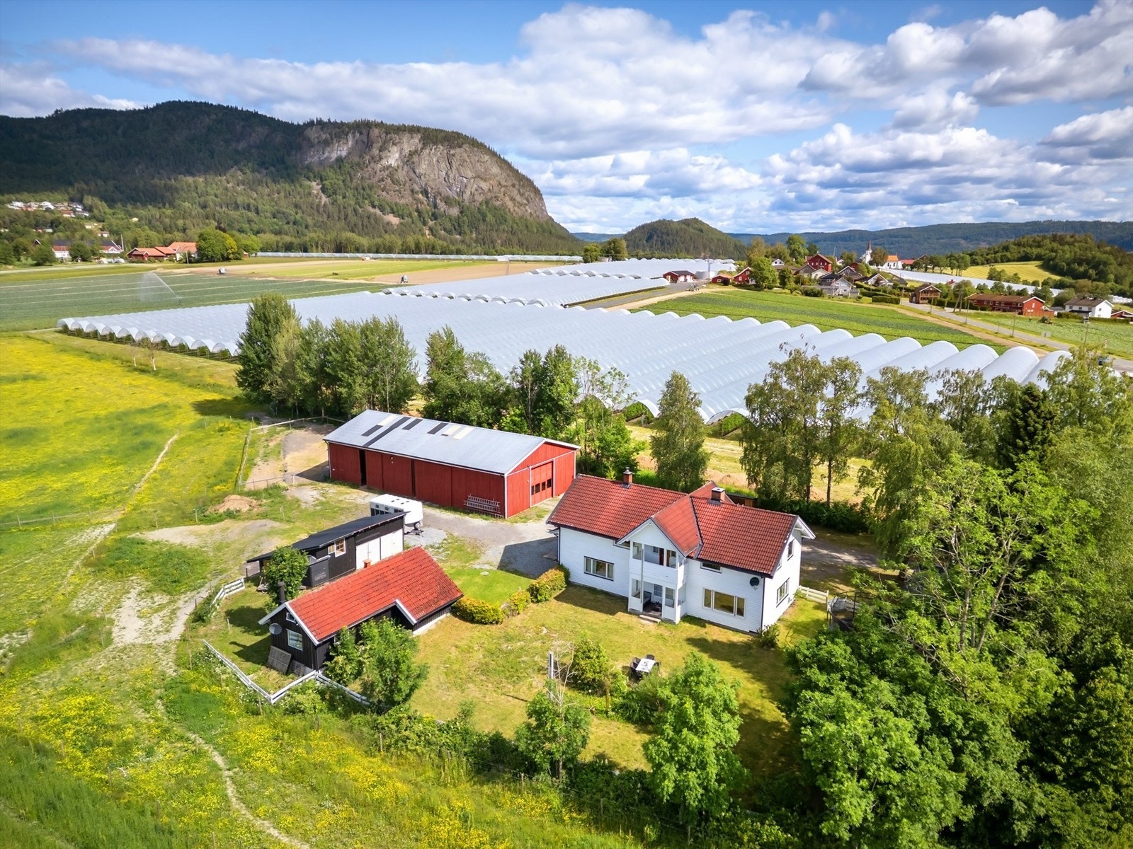 Rolige omgivelser i nærområdet med omkringliggende landbruksarealer Galleribilde