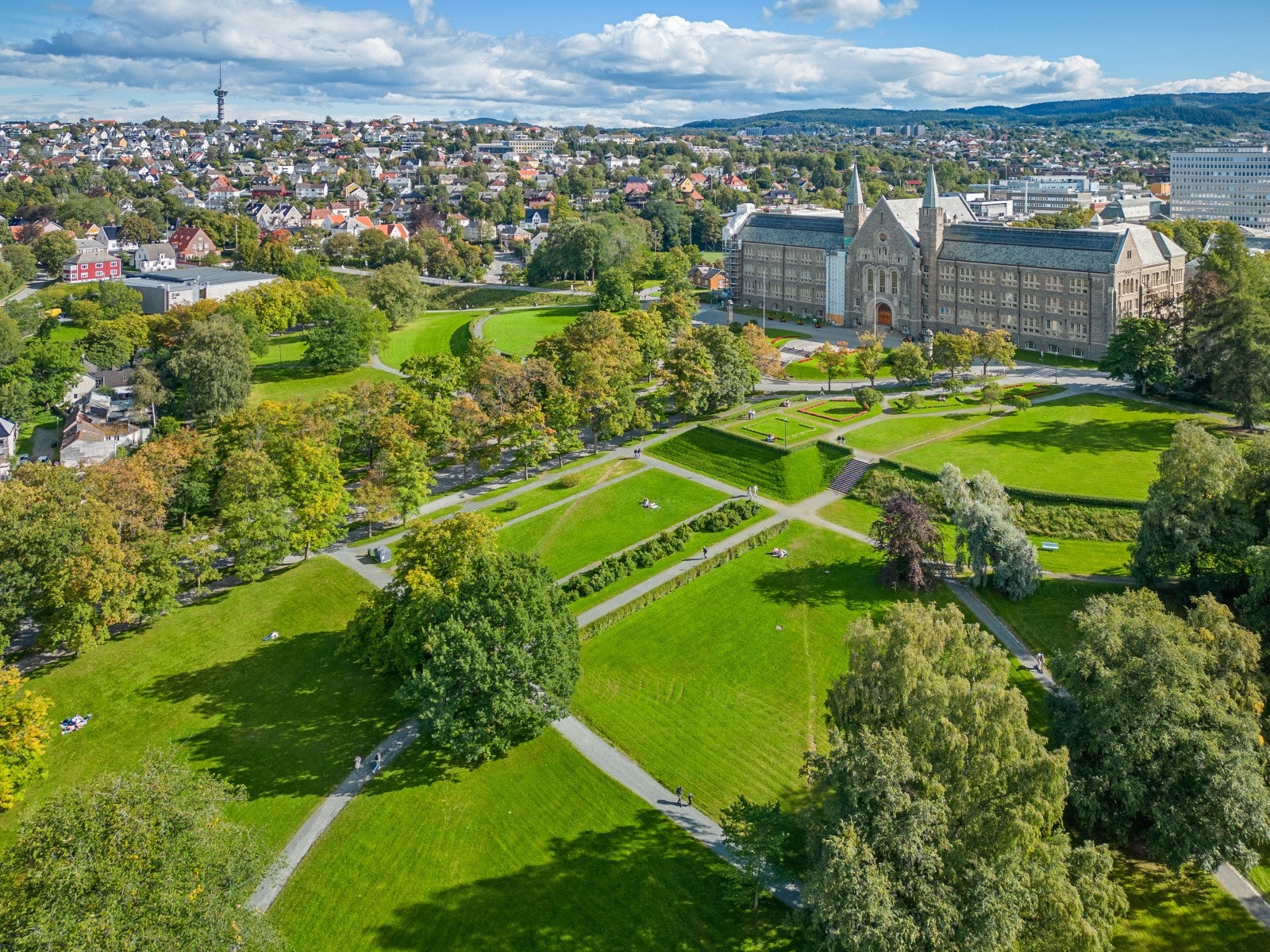 Gløshaugen ligger i kort gange fra leiligheten Galleribilde