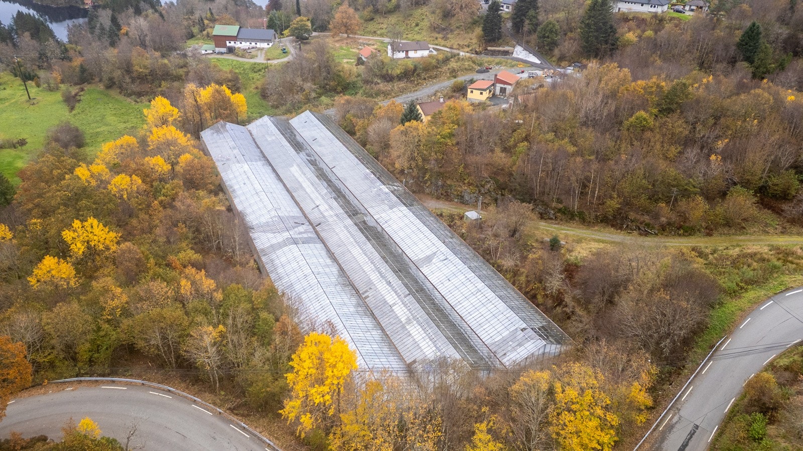 Det må byttes noen glassplater i drivhuset sitt tak Galleribilde
