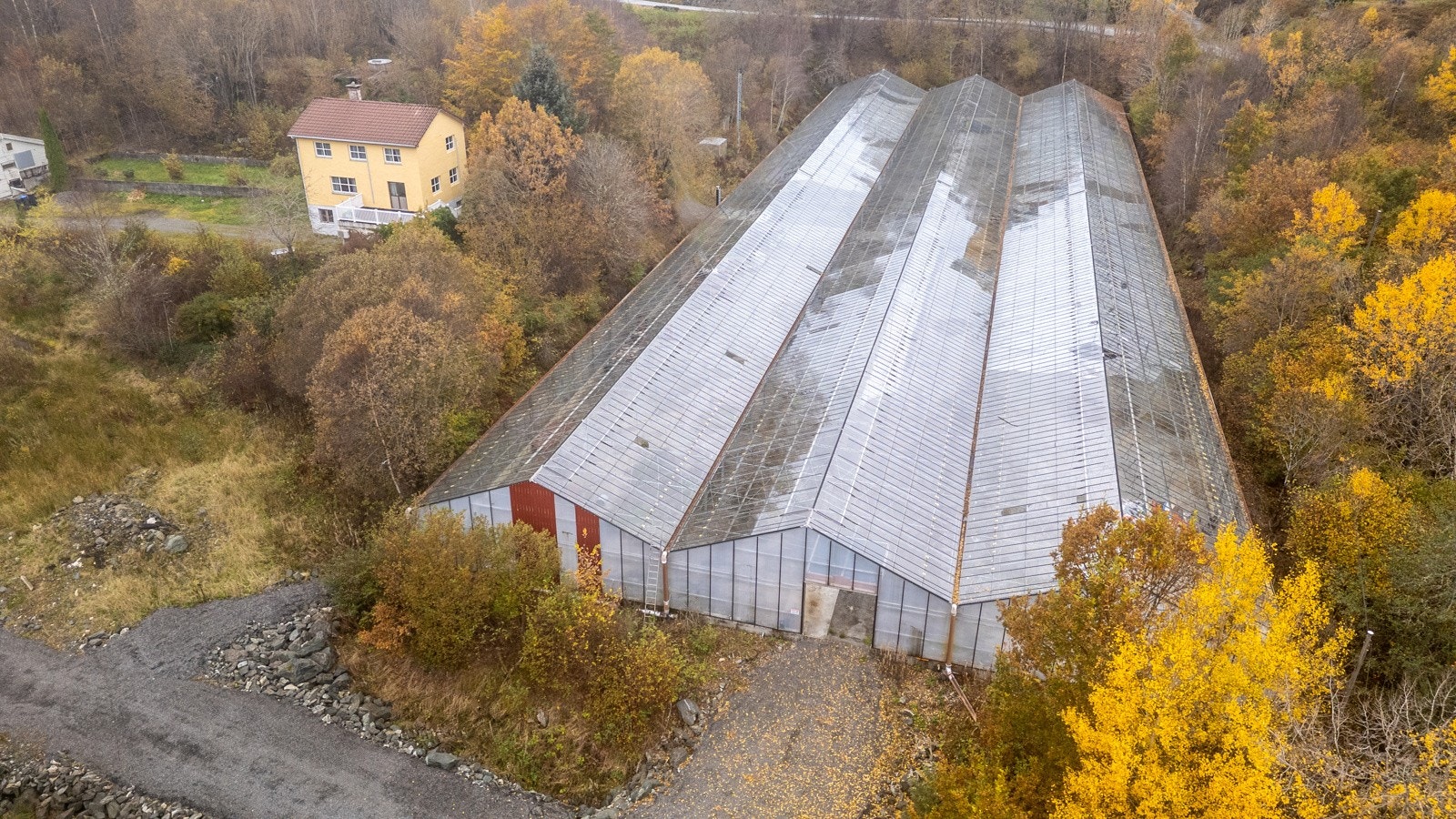 Kjøreport på sørside av drivhuset Galleribilde