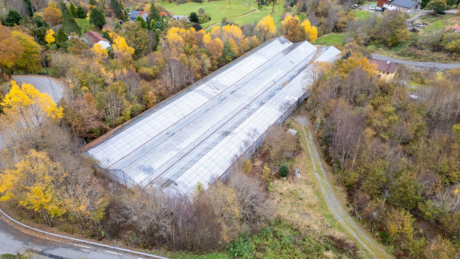 Drivhuset Galleribilde