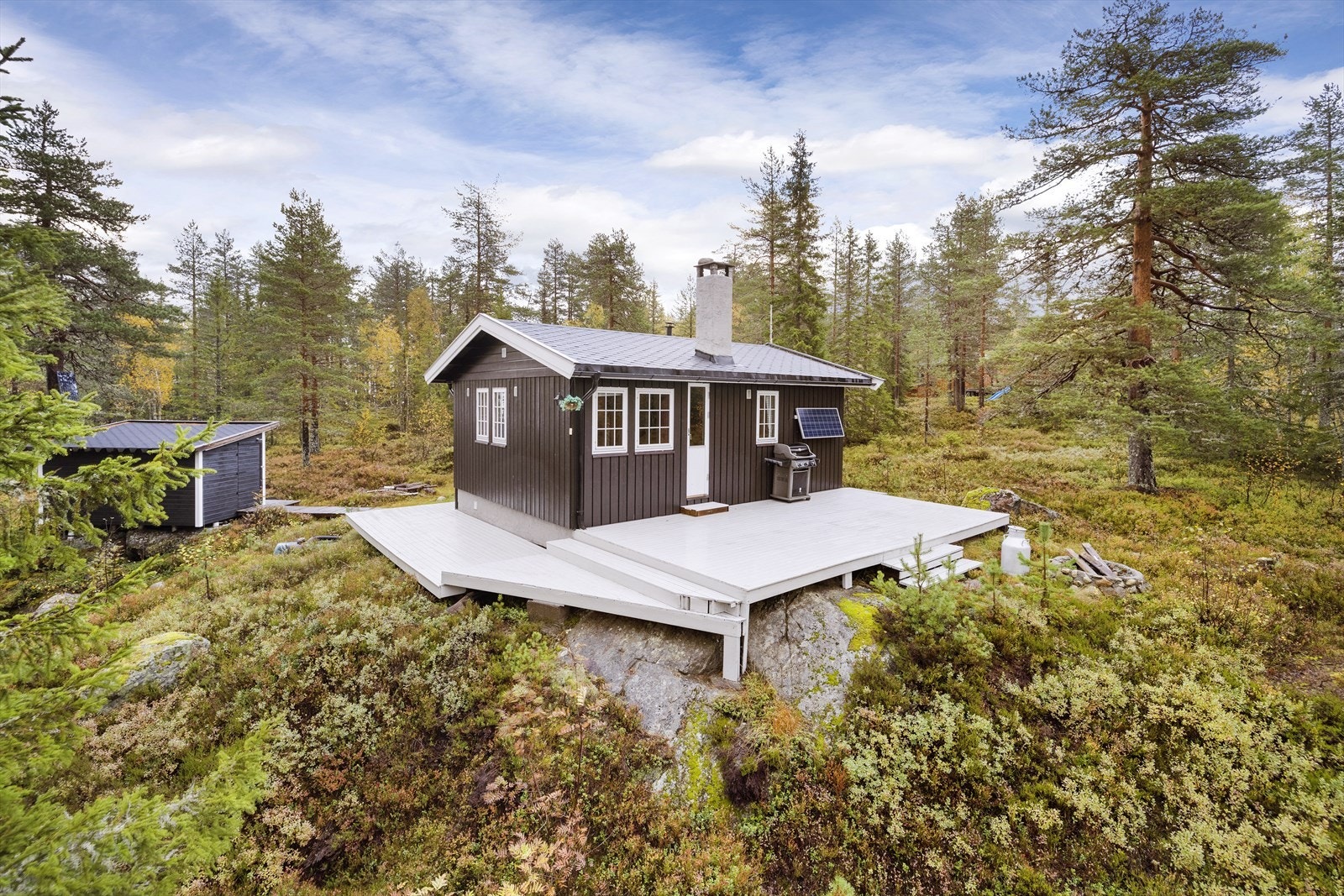 Velkommen til Helgestuseterveien 101 - en sjarmerende hytte på Vikerfjell ved fanteputten! Galleribilde