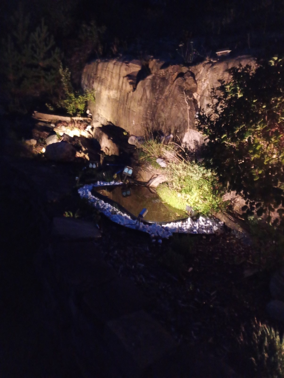 Selgers bilde Galleribilde