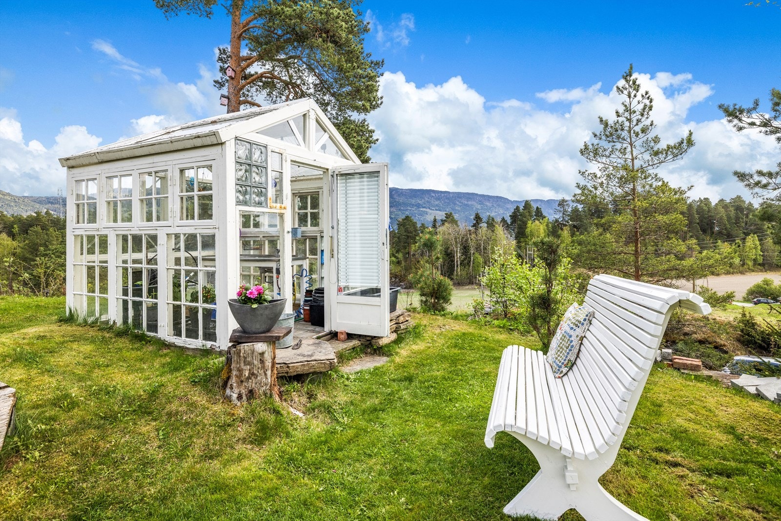 Drivhus - om du har grønne fingre Galleribilde