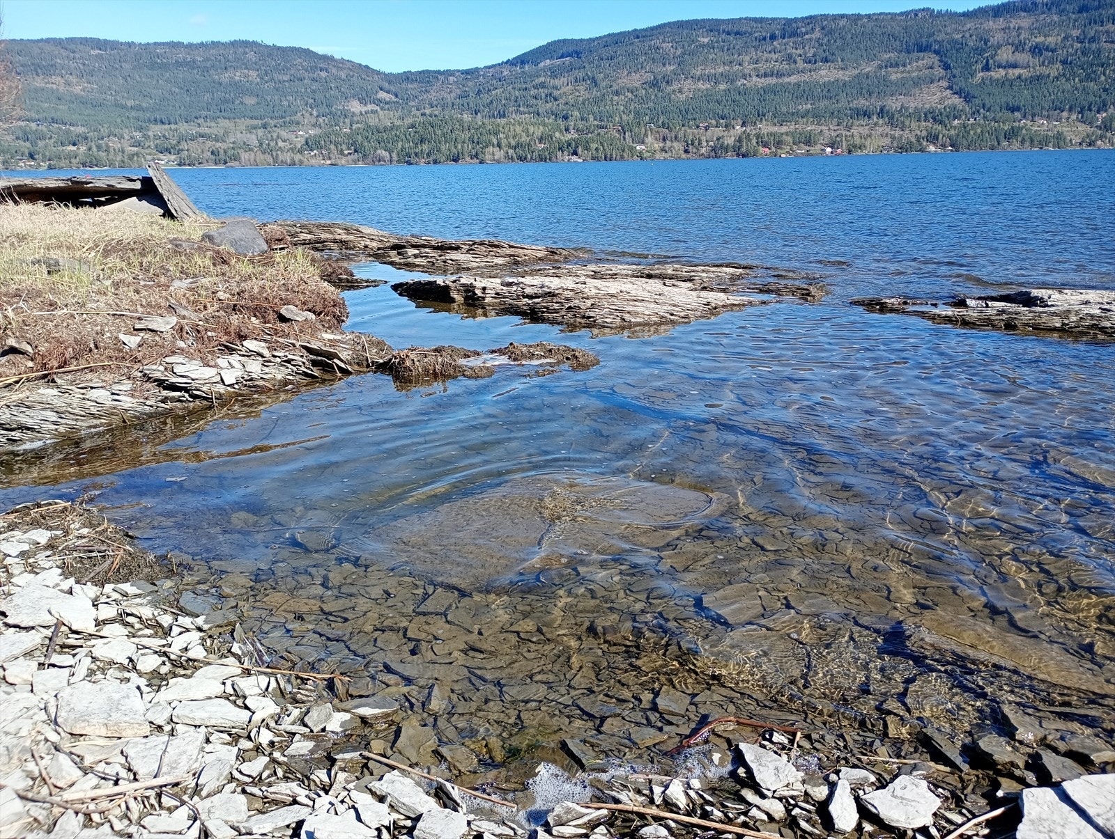 I Åsa er det glimrende turområder sommer som vinter Galleribilde