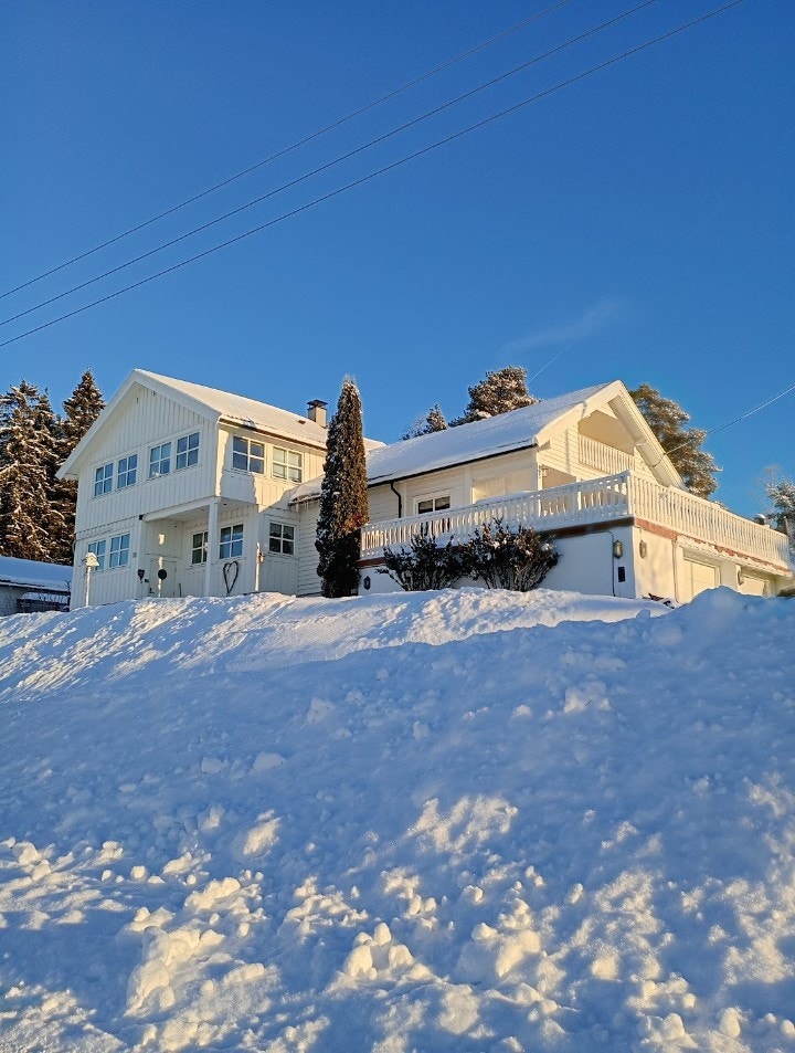 Selgers bilde Galleribilde