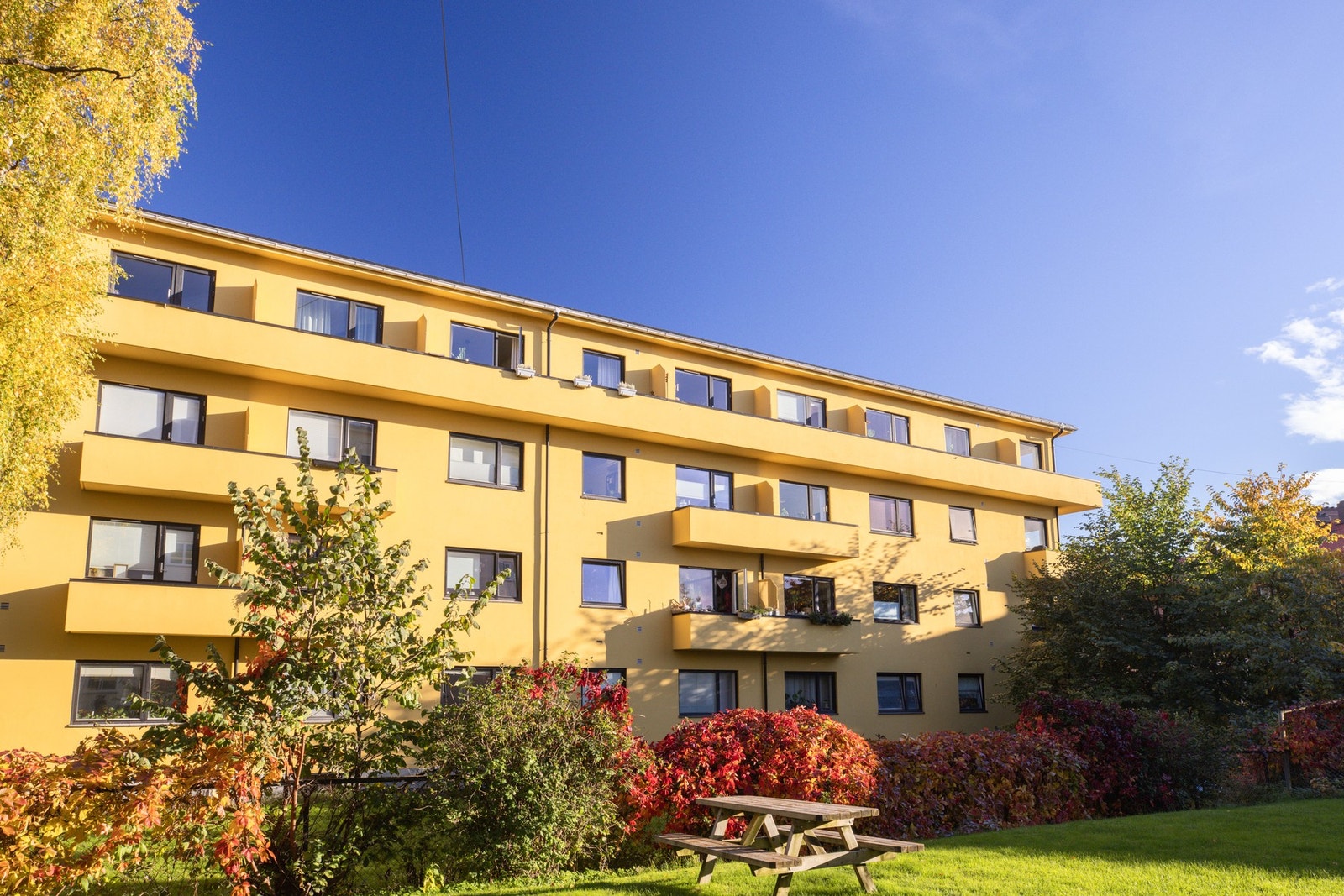 Dette er et meget ryddig og veldrevet borettslag. Galleribilde