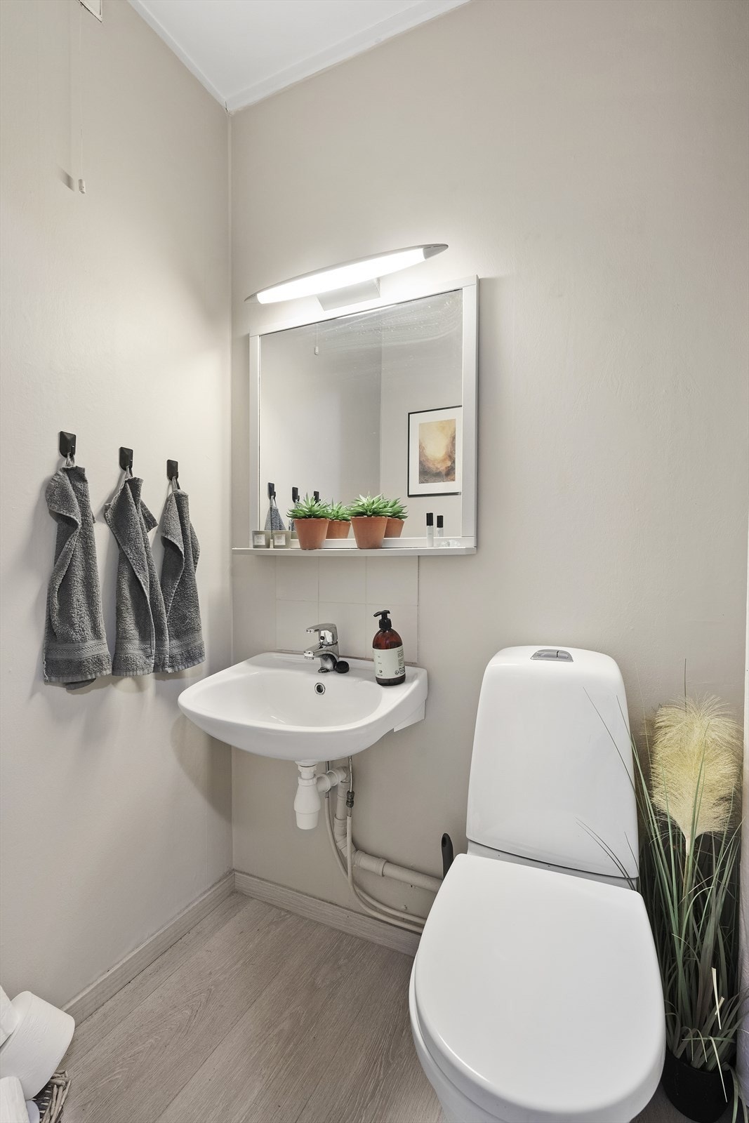 Separat toalettrom med tilkomst fra gangen Galleribilde