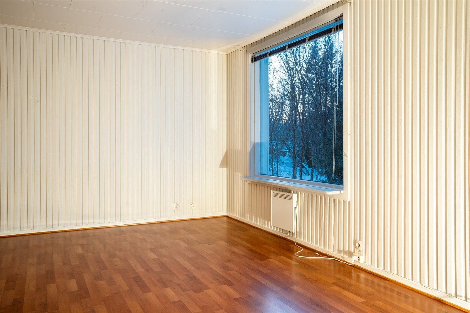 Romslig stue Galleribilde