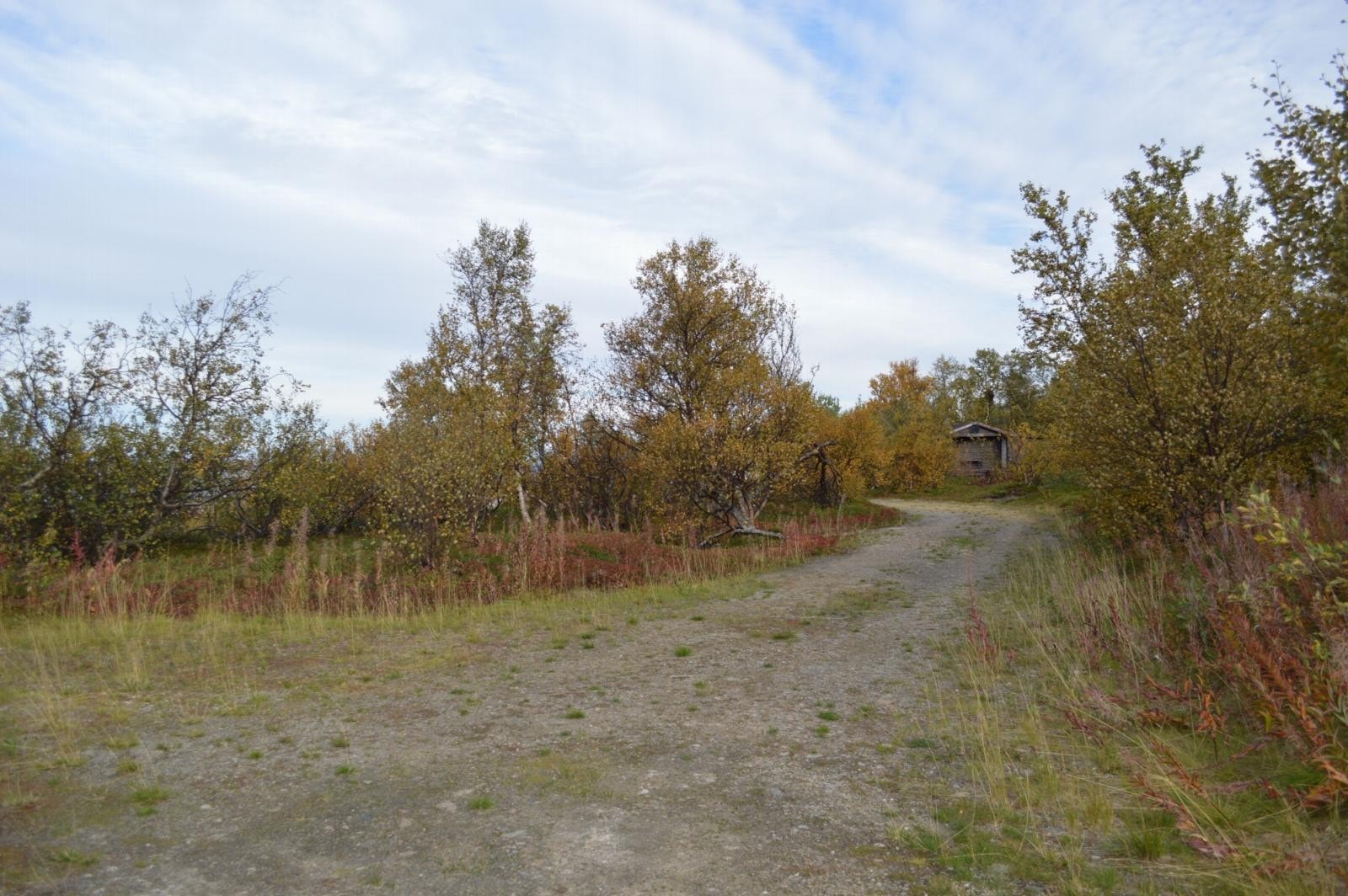 Vei til hytta Galleribilde