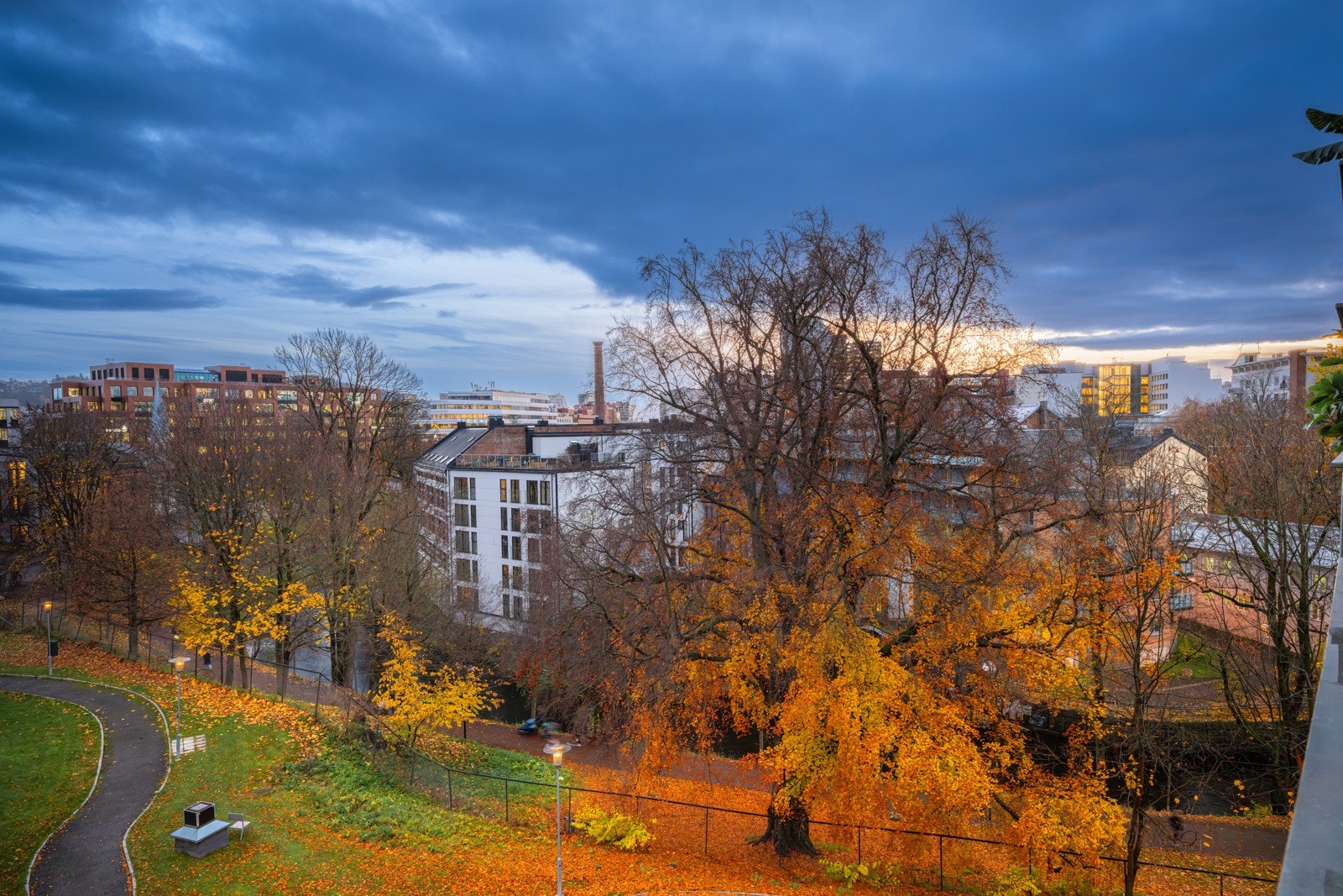 BORO2314 Galleribilde