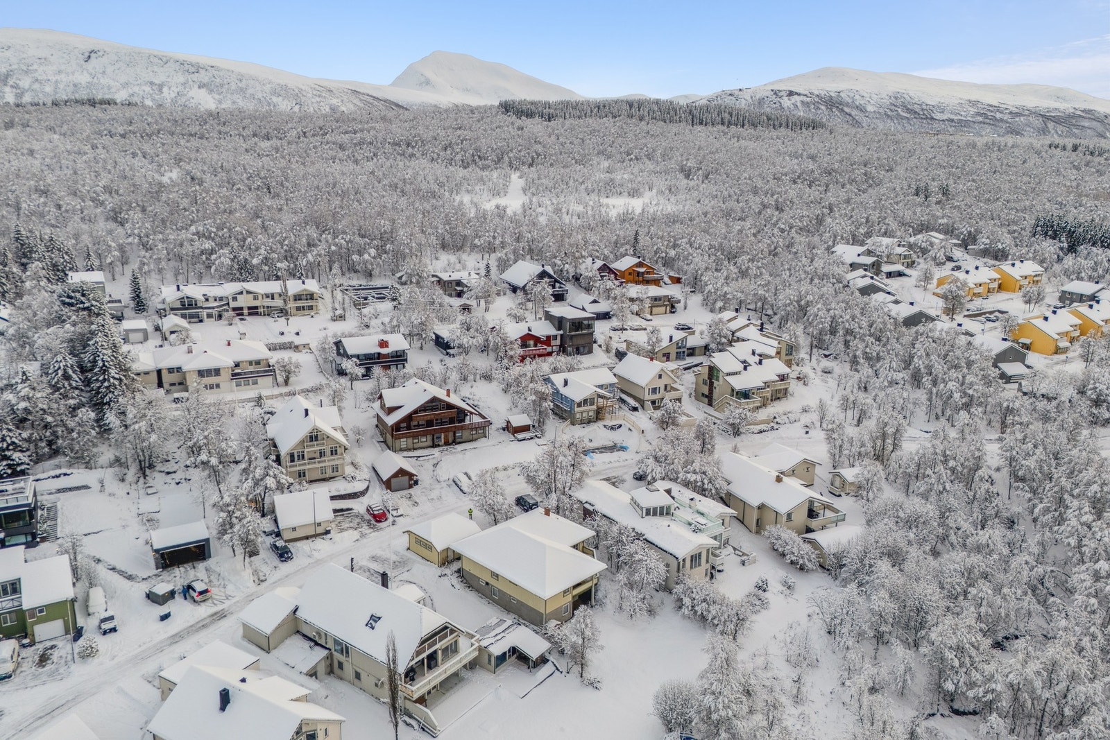 Velkommen på visning! Galleribilde