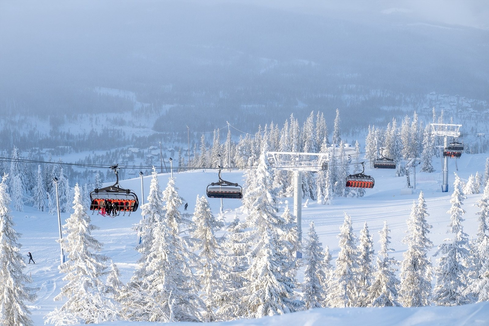 Nesfjellet Alpin Galleribilde